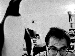 Chris Gulker